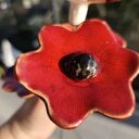 Kwiaty ceramiczne 4 szt. na drucikach florystycznych - ozdoba do doniczek