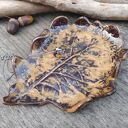 Ceramiczny talerz, liść dębu c785)