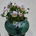 donica ceramiczna