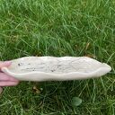 Patera ceramiczna z roślinnym motywem