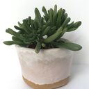 Artystyczna pastelowa osłonka ceramiczna na sukulent