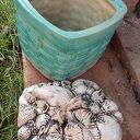 Naczynie ceramiczne do pieczenia i dekoracji z pokrywką