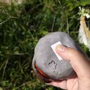 Ceramiczna skarbonka kotek - ręcznie wykonane rękodzieło