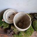 Cukiernica ceramiczna z drewnianym uchwytem - Drzewo