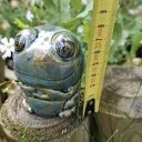 Żaba ceramiczna - ręcznie wykonana figurka do doniczki