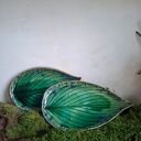 Talerze ceramiczne liście - Funkjaste