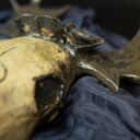 Rzeźba ceramiczna „ANTLERED REBIRTH”