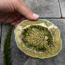 Listek w zieleni - ręcznie robiony talerzyk ceramiczny