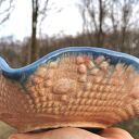 Misa ceramiczna (c196)