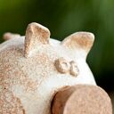 Świnka skarbonka z korkowym ryjkiem