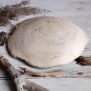 Patera i misa ceramiczna z rzeźbionym ornamentem morskim