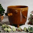 Brązowa doniczka ceramiczna Pies Azorek - osłonka na prezent od Lamabo Ceramics