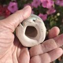 Ceramiczna żaba do doniczki - ręcznie robiona figurka