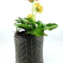 Komplet 3 matowych doniczek ceramicznych z czarnej gliny - handmade