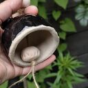 Ręcznie robiony ceramiczny dzwonek z biedronką na balkon i do ogrodu