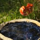 Ceramiczne poidło dla ptaków z czerwonym ptaszkiem