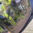 Umywalka ceramiczna pod kasztanem - zielone szkliwo i delikatne listki