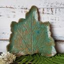 Patera, liść o oryginalnym kształcie