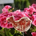 Ceramiczny ptaszek do doniczki - kolorowa ozdoba handmade
