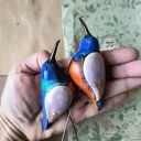 Kolibry na piku