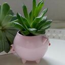 Mała różowa doniczka ceramiczna w kształcie kota Kiziora - Lamabo Ceramics