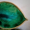 Talerz ceramiczny liść - Funkiasty
