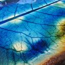 Ceramiczna patera ( c867)