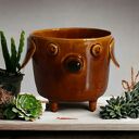 Brązowa doniczka ceramiczna Pies Azorek - osłonka na prezent od Lamabo Ceramics