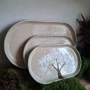 Zestaw talerzy ceramicznych - Drzewa