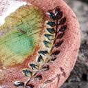 Ceramiczny kamień spokoju - Mech