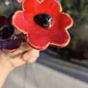 Kwiaty ceramiczne 4 szt. na drucikach florystycznych - ozdoba do doniczek