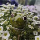 Żabka ceramiczna handmade - urocza ozdoba do ogrodu i na prezent