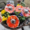 Kwiaty ceramiczne 5 sztuk - handmade do domu, na balkon i do ogrodu