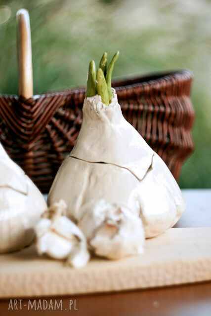 Pojemnik na czosnek, kuchenny pojemnik na warzywa