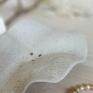 prezent upominek mydelniczka biała - w kształcie muszli ceramika artystyczna wystrój wnętrz