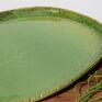 ceramika: Patera talerz dekoracyjny z liściem chrzanu - liść ceramiczny