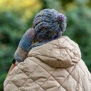 Czapka MERINO 100% Smile “Pastele” podszewka BAWEŁNA