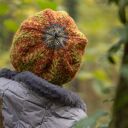 Czapka beret wełniana "Wśród paproci"