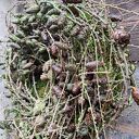 Bożonarodzeniowy wianek na drzwi - naturalna dekoracja 60 cm