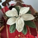 Gwiazda betlejemska - szydełkowa ozdoba świąteczna, kwiat bożonarodzeniowy