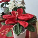 Gwiazda betlejemska - szydełkowa ozdoba świąteczna, kwiat