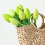 tulipany zielony bawełniany bukiet - prezent kwiaty