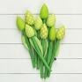 tulipany zielony bawełniany - bukiet prezent