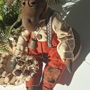 Łoś siedzący handmade - wyjątkowa dekoracja domu