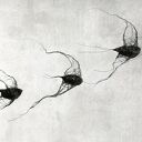 Instalacja z metalu nr IV - ptaki w kluczu (10 sztuk)