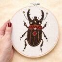 Chrząszcz z Magicznego Cyrku