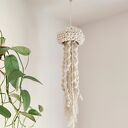 makrama meduza