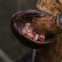 Pomarańczarka - figurka rzeźba ceramiczna Enio Art