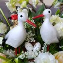 Wiosenny flowerbox z bocianami - kompozycja kwiatowa w pudełku