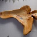 Taca / misa z korzenia orzecha włoskiego rzeźbiona ręcznie